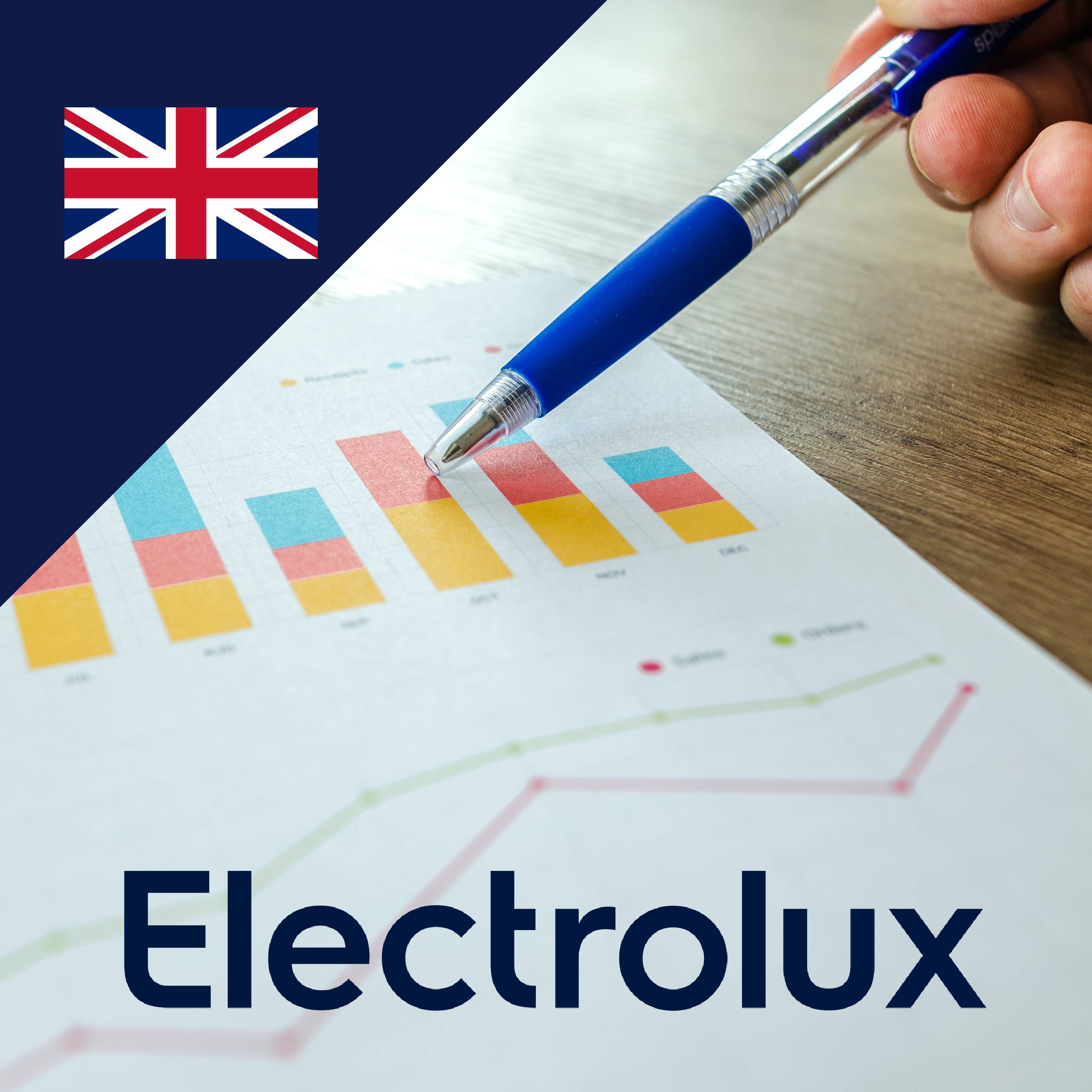 electrolux strategy case study